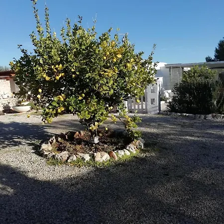 Antico Trullo Pasquale Con Piscina Holiday home Ostuni